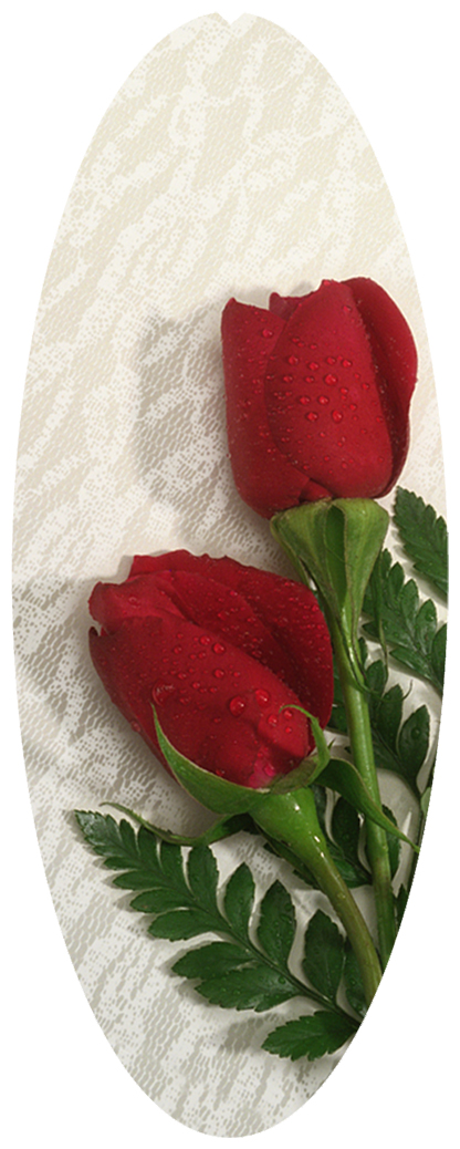 DNSA18-058 2 Roses Red